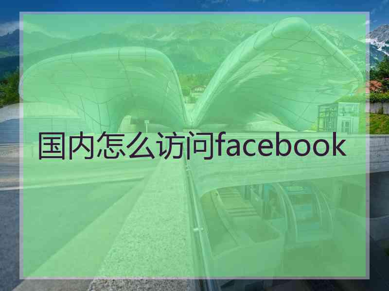 国内怎么访问facebook