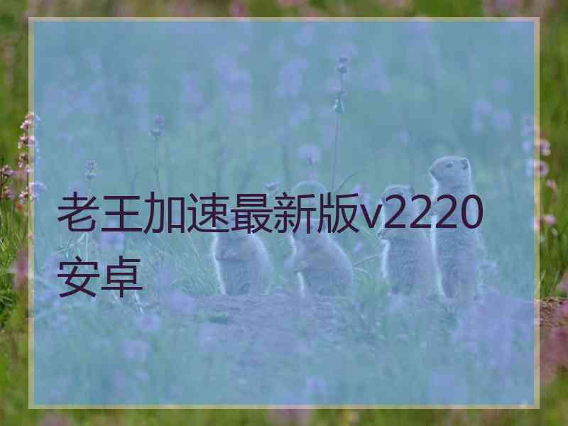 老王加速最新版v2220安卓