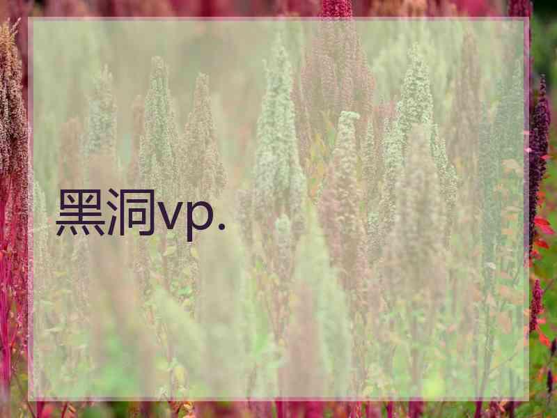 黑洞vp.