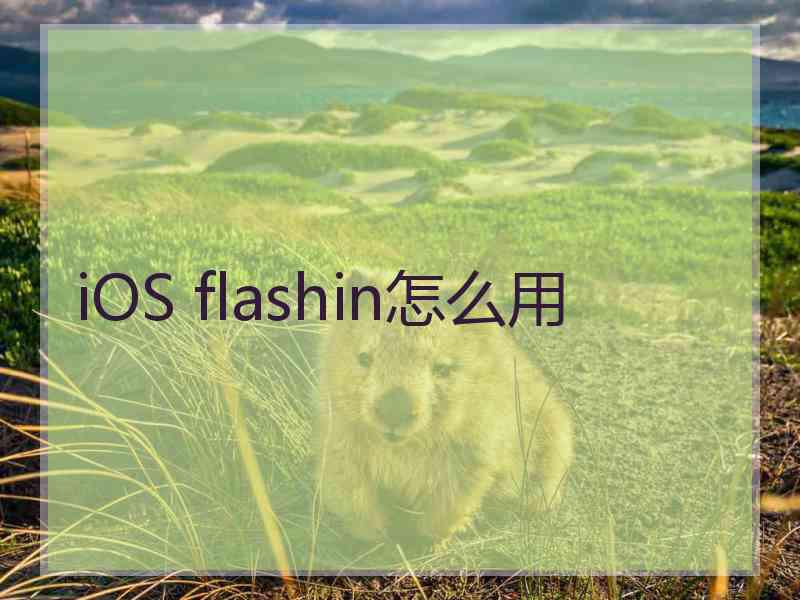 iOS flashin怎么用