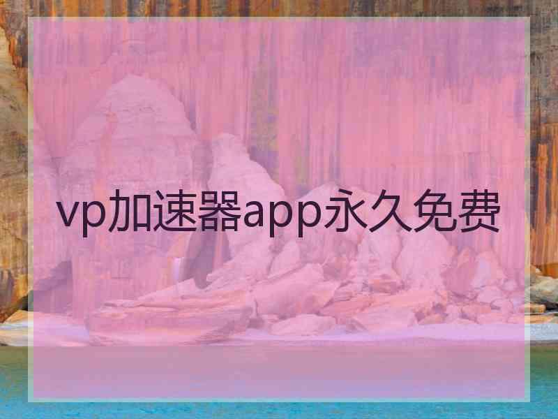 vp加速器app永久免费