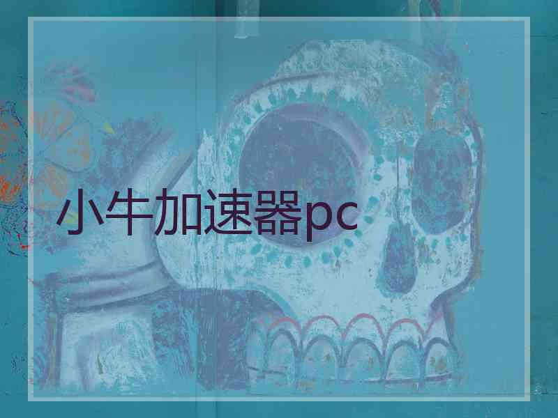 小牛加速器pc