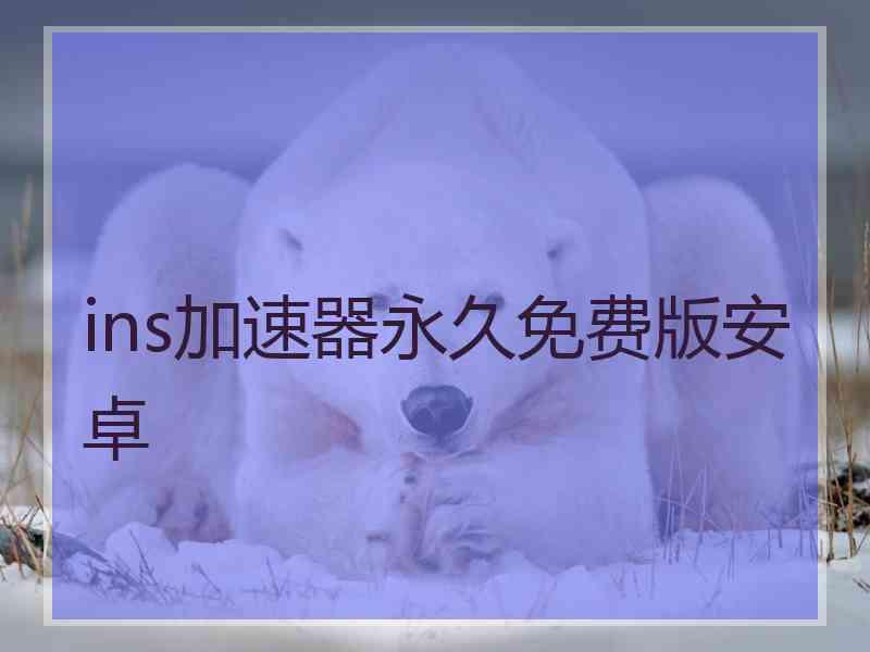 ins加速器永久免费版安卓