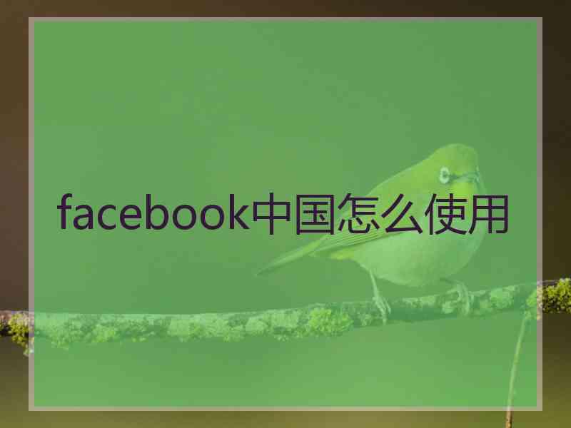 facebook中国怎么使用