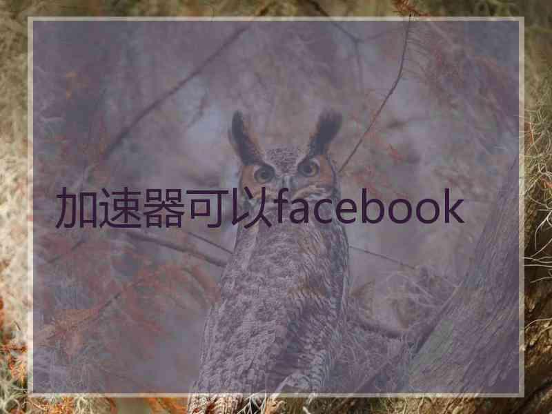 加速器可以facebook