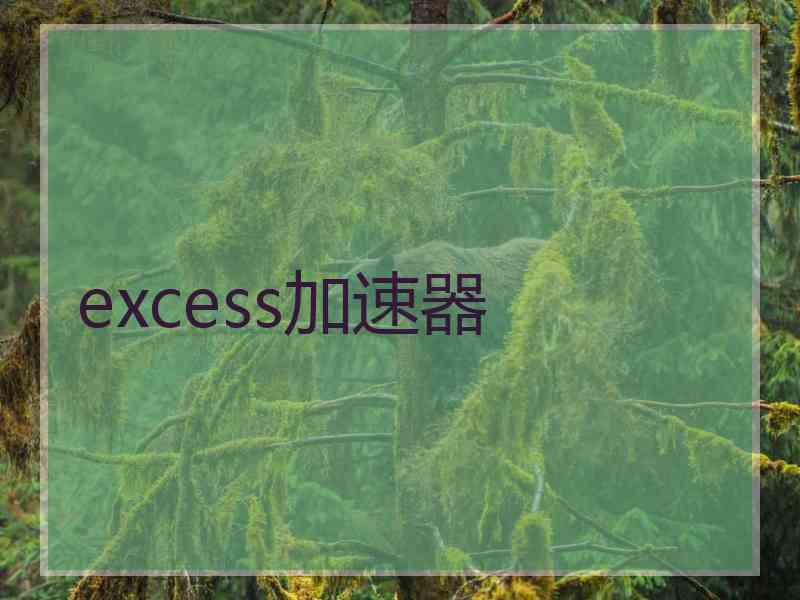 excess加速器