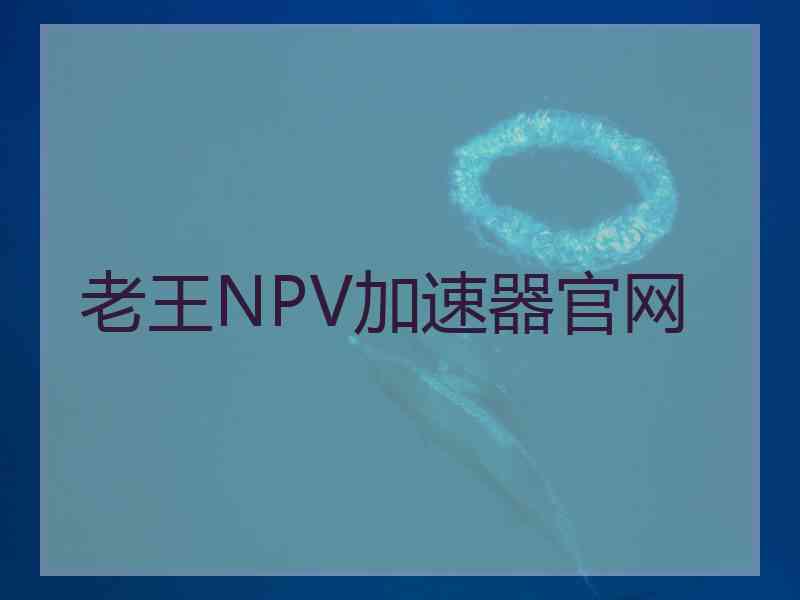 老王NPV加速器官网