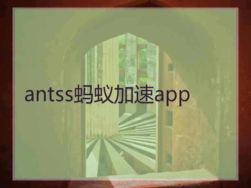 antss蚂蚁加速app