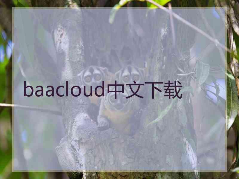 baacloud中文下载