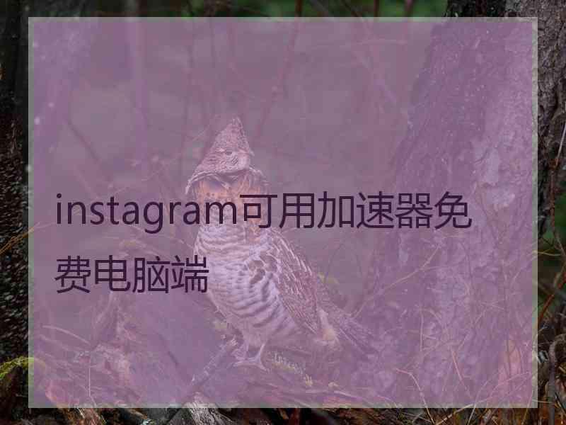 instagram可用加速器免费电脑端