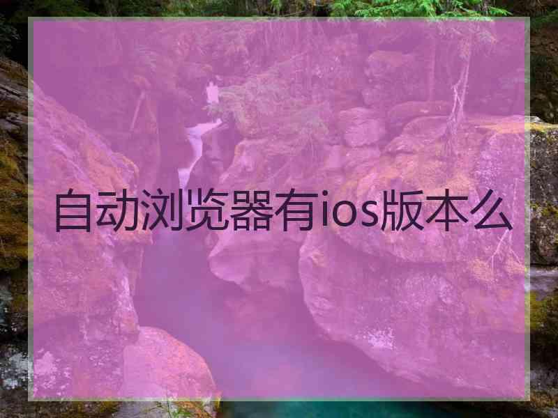 自动浏览器有ios版本么