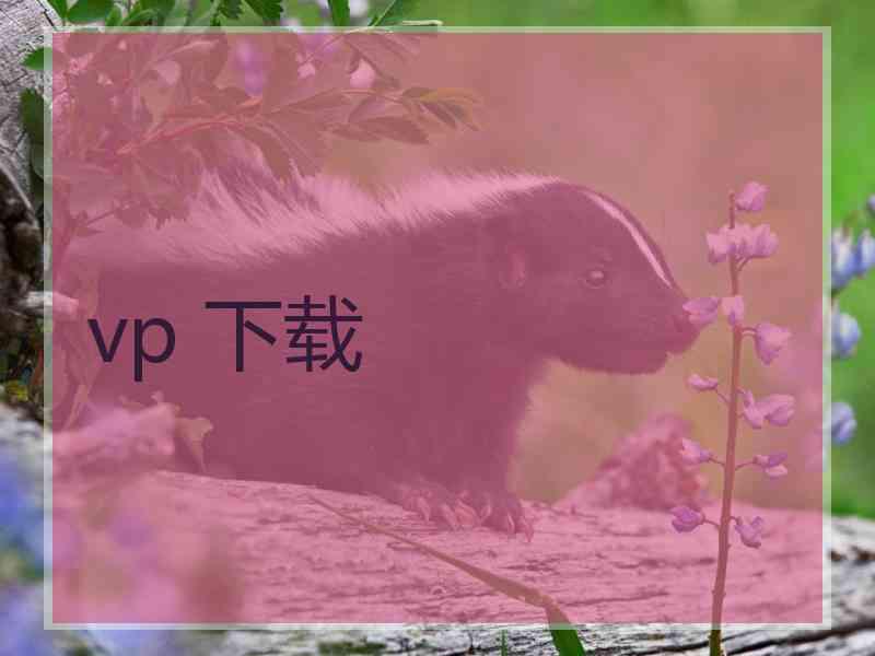 vp 下载