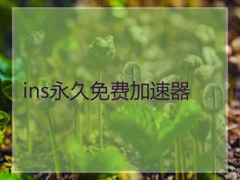 ins永久免费加速器