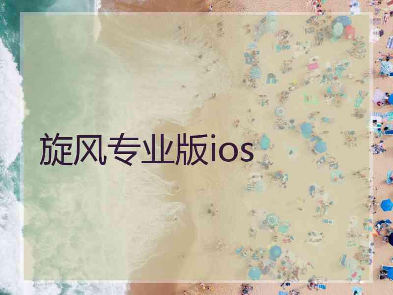 旋风专业版ios