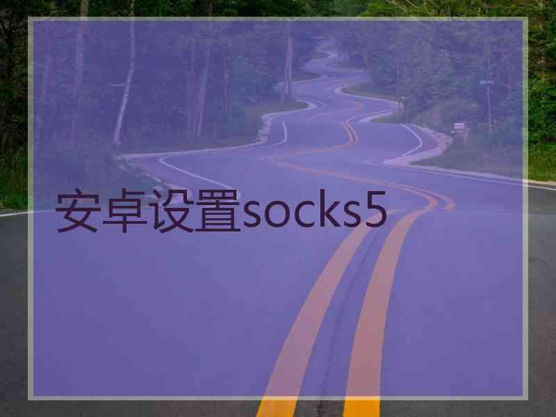 安卓设置socks5