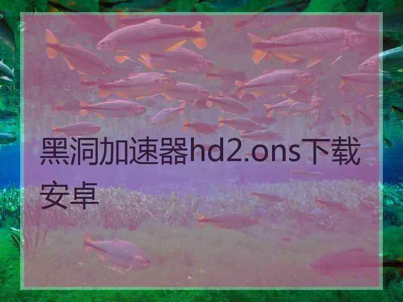 黑洞加速器hd2.ons下载安卓