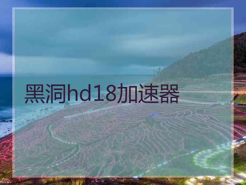 黑洞hd18加速器