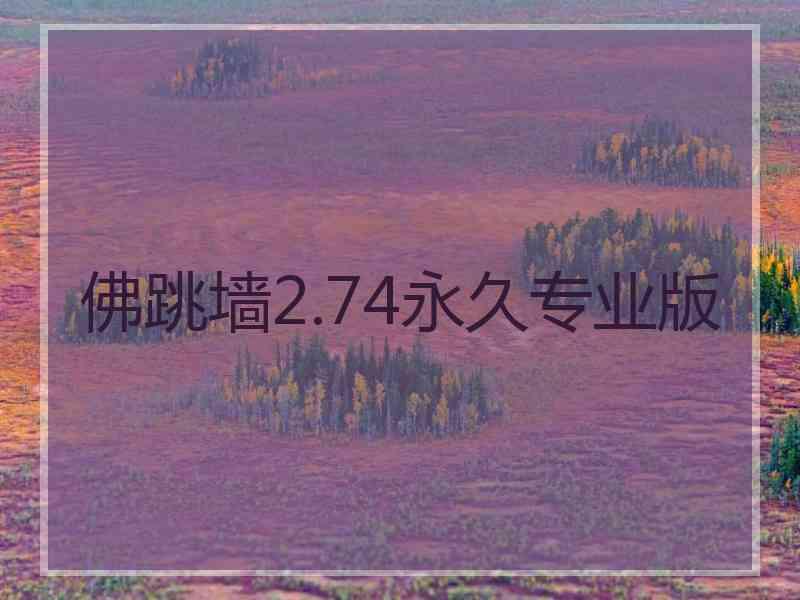 佛跳墙2.74永久专业版