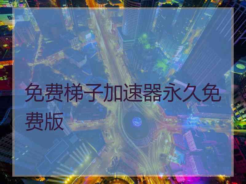 免费梯子加速器永久免费版