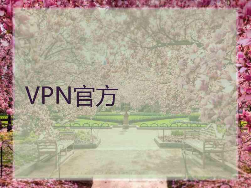 VPN官方