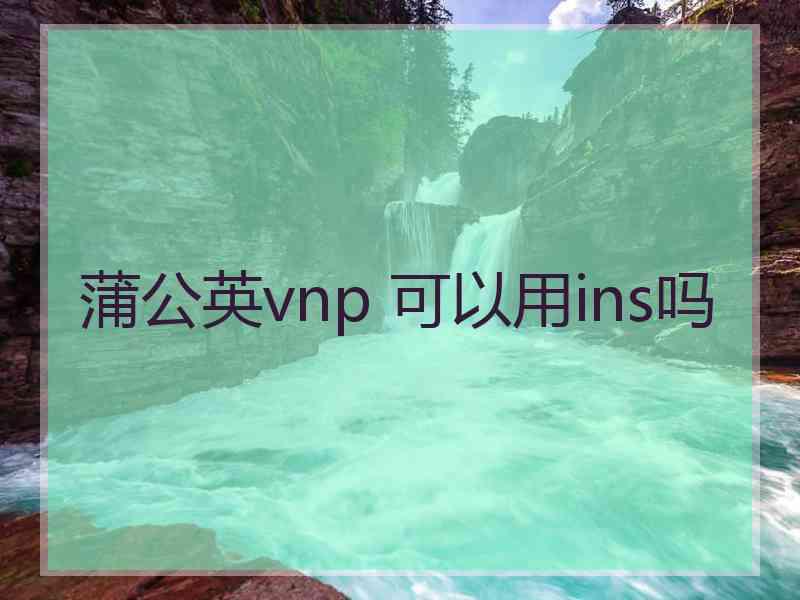 蒲公英vnp 可以用ins吗