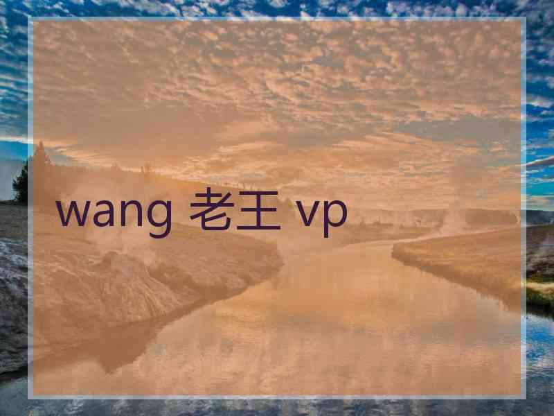 wang 老王 vp