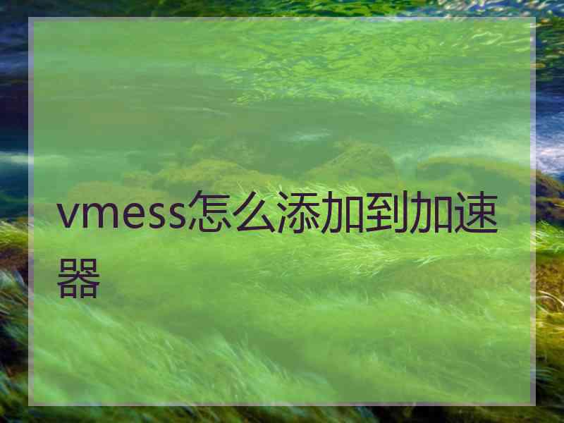 vmess怎么添加到加速器