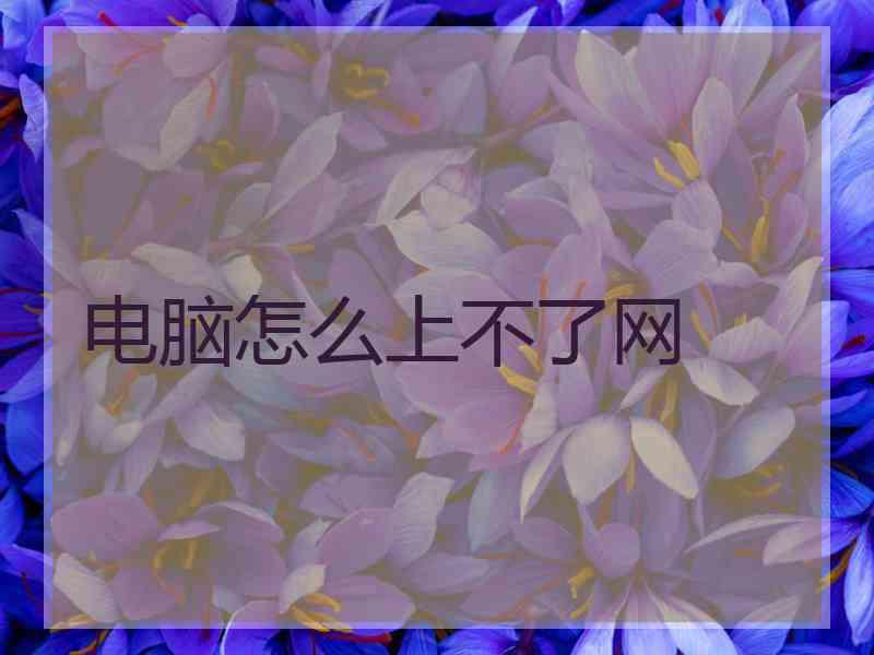 电脑怎么上不了网