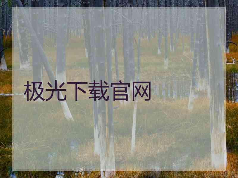 极光下载官网