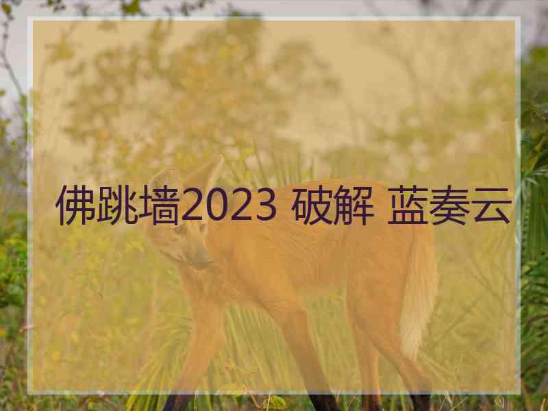 佛跳墙2023 破解 蓝奏云