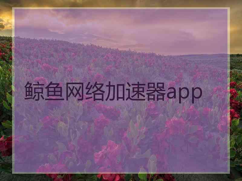 鲸鱼网络加速器app