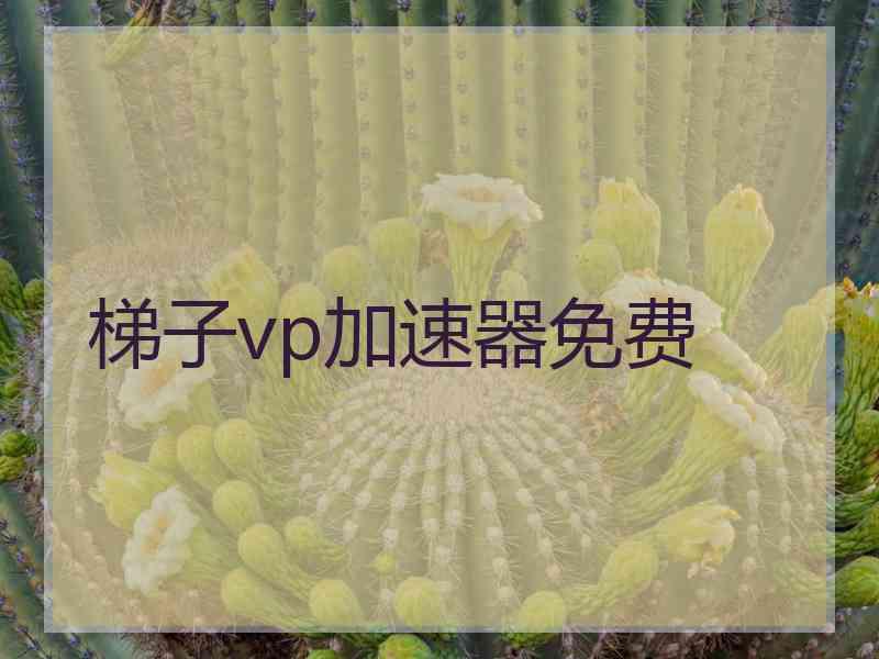 梯子vp加速器免费