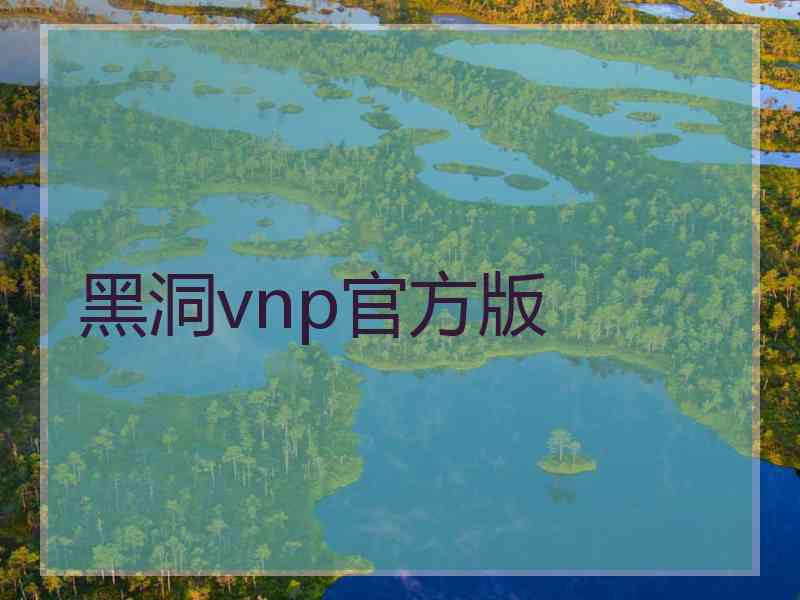 黑洞vnp官方版