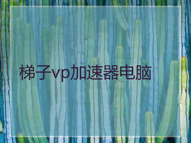 梯子vp加速器电脑