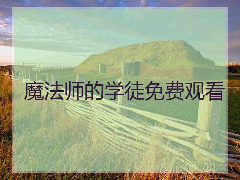 魔法师的学徒免费观看