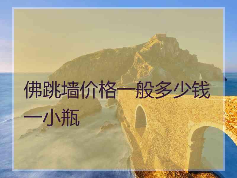 佛跳墙价格一般多少钱一小瓶