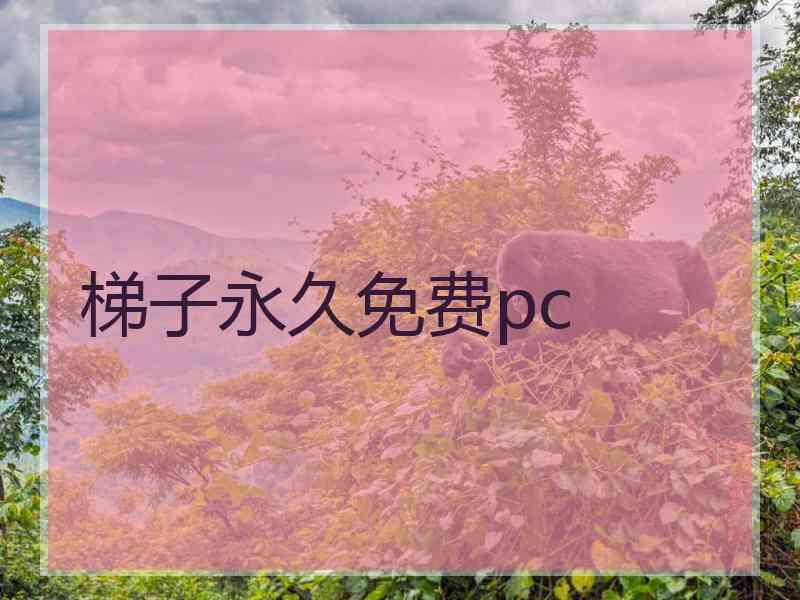 梯子永久免费pc