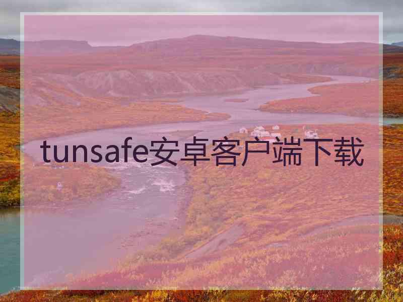 tunsafe安卓客户端下载