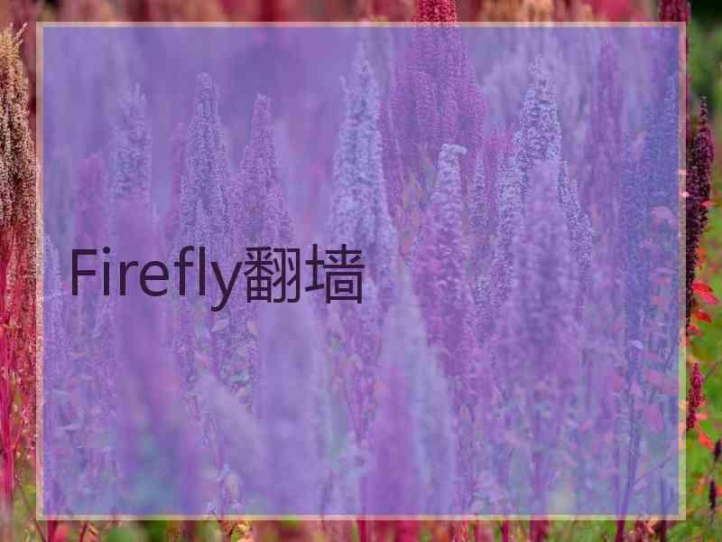 Firefly翻墙