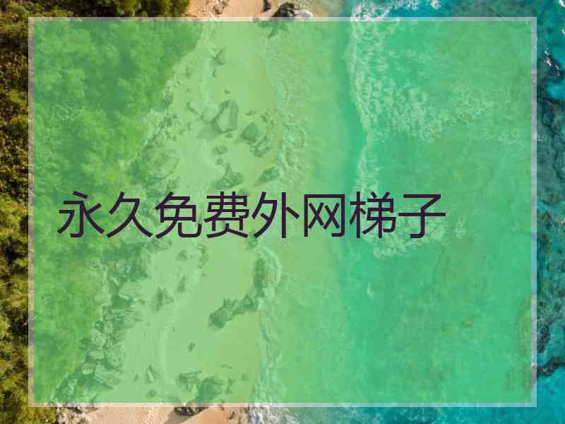 永久免费外网梯子